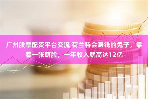 广州股票配资平台交流 荷兰特会赚钱的兔子，靠着一张萌脸，一年收入就高达12亿